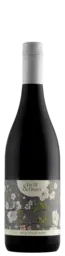 Twill E Daisy Pinot Noir
