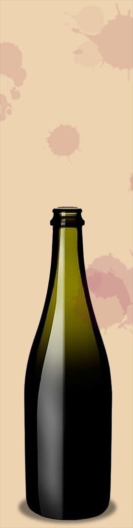 Chablis Domaine Pagnier