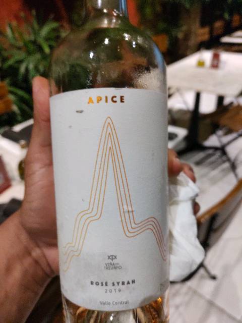 Viña del Triunfo Apice Syrah Rosé