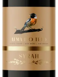 Terreiro Alma do Tejo Syrah 2020