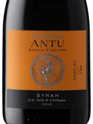 MontGras Antu Syrah