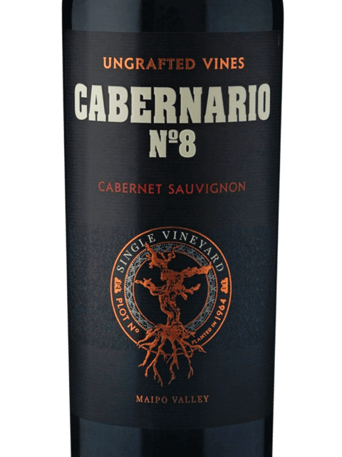 Santa Rita Cabernario No 8 Single Vineyard Cabernet Sauvignon