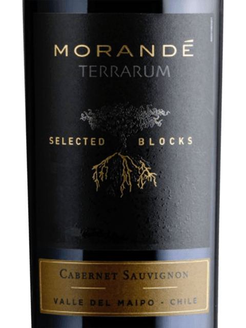 Morandé Terrarum Selected Blocks Cabernet Sauvignon 2019