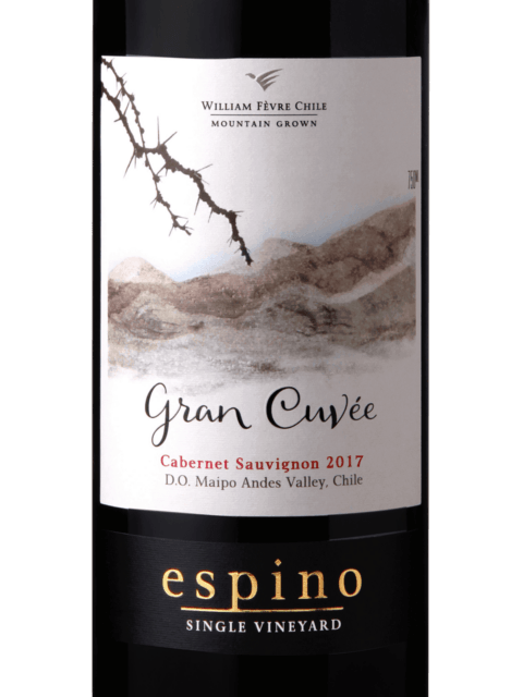 William Fèvre Chile Cabernet Sauvignon Gran Cuvée Espino 2018