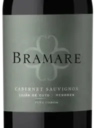 Viña Cobos Bramare Cabernet Sauvignon 2017