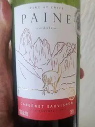 Paine Cabernet Sauvignon 2023