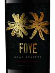 Foye Gran Reserva Cabernet Sauvignon 2020