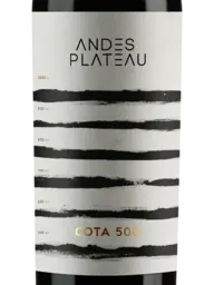 Andes Plateau Cota 500 2019