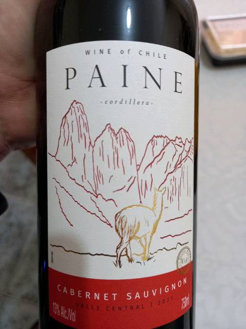 Paine Cabernet Sauvignon 2021