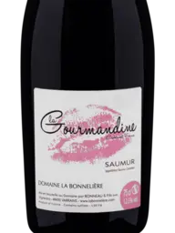 Domaine la Bonnelière La Gourmandine Saumur 2022