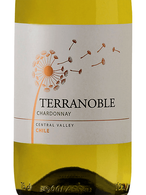 TerraNoble Chardonnay 2021