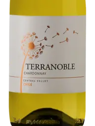 TerraNoble Chardonnay 2021