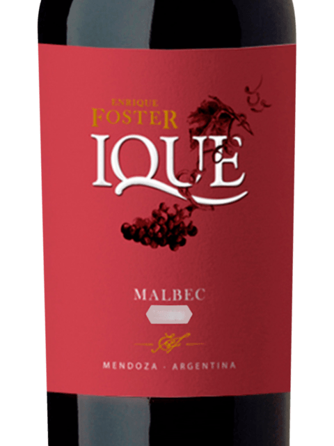 Enrique Foster Ique Malbec 2021