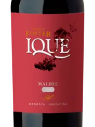 Enrique Foster Ique Malbec 2021