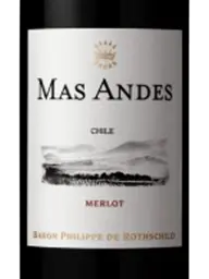 Mas Andes Merlot 2021