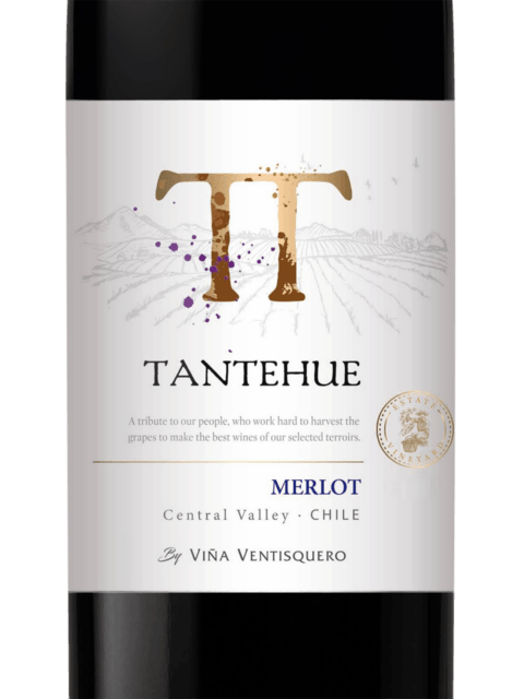 Ventisquero Tantehue Merlot 2021