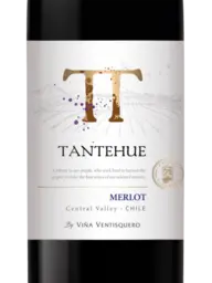 Ventisquero Tantehue Merlot 2021