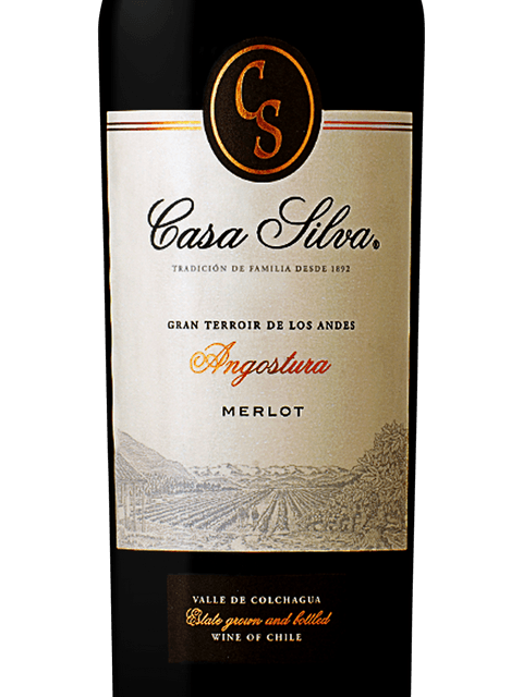 Casa Silva Gran Terroir de Los Andes Angostura Merlot