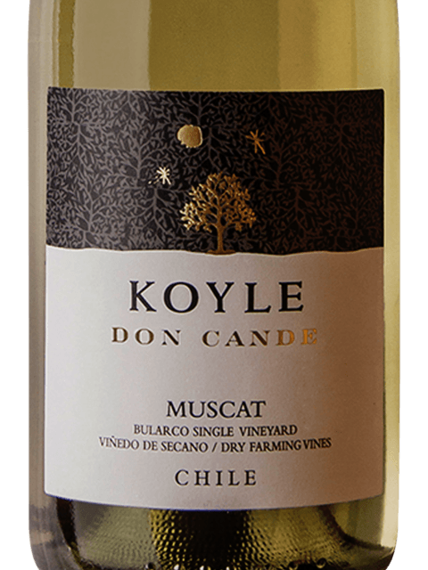 Koyle Don Cande Muscat 2018