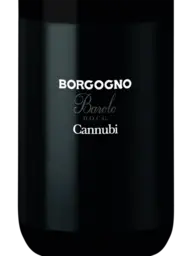 Borgogno Barolo Cannubi 2012