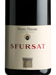 Nino Negri Sfursat 2010