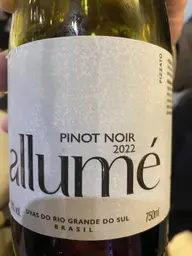 Pizzato Allumé Pinot Noir 2022