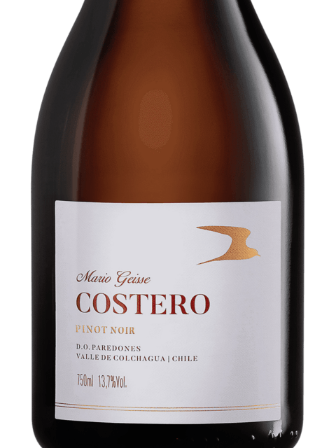 Mario Geisse Costero Pinot Noir 2021