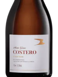 Mario Geisse Costero Pinot Noir 2021