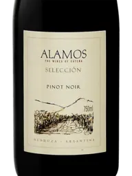 Alamos Selección Pinot Noir 2021