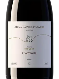 Pisano Rio de Los Pájaros Reserve Pinot Noir