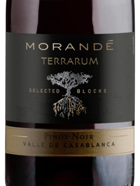 Morandé Terrarum Selected Blocks Pinot Noir