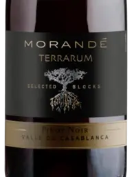 Morandé Terrarum Selected Blocks Pinot Noir 2018