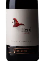 Ventisquero Herú Pinot Noir 2020