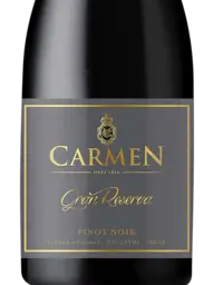 Carmen Gran Reserva Pinot Noir 2019