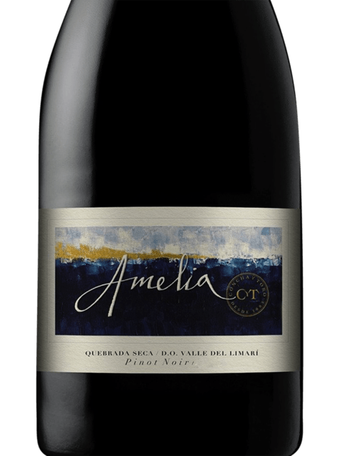 Quebrada Seca Amelia Pinot Noir