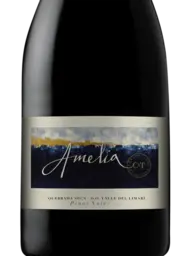 Quebrada Seca Amelia Pinot Noir 2019