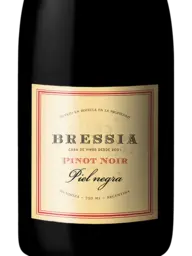 Bressia Piel Negra Pinot Noir 2019