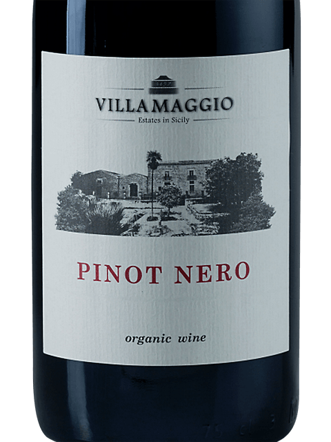 Villa Maggio Pinot Nero 2021