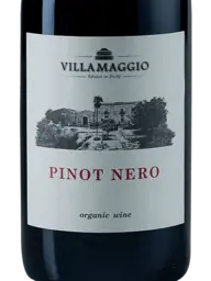 Villa Maggio Pinot Nero 2021