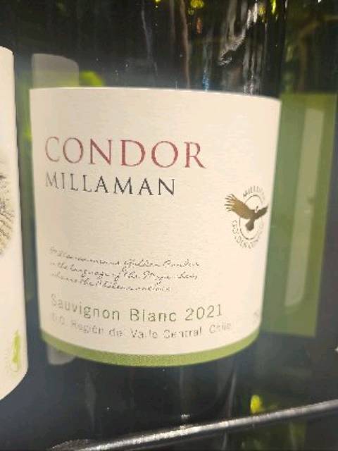 Millaman Condor Sauvignon Blanc