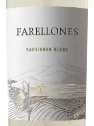 Farellones Sauvignon Blanc 2020