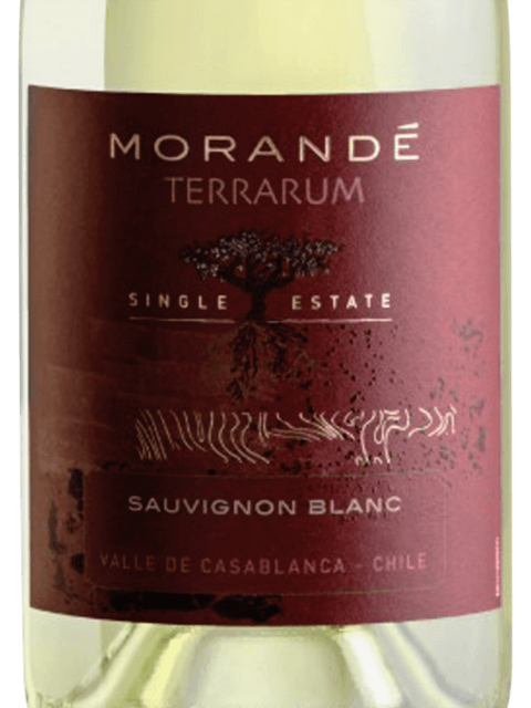 Morandé Terrarum Single Estate Sauvignon Blanc