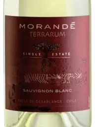 Morandé Terrarum Single Estate Sauvignon Blanc 2021