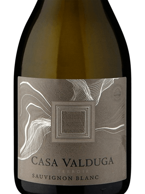 Casa Valduga Terroir Sauvignon Blanc 2022