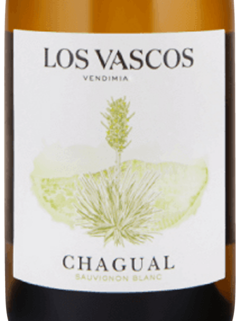 Los Vascos Chagual Sauvignon Blanc 2022