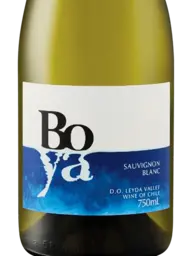 Boya Sauvignon Blanc 2022