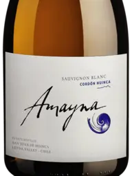 Amayna Cordon Huinca 2023
