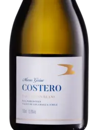 Mario Geisse Costero Sauvignon Blanc 2023