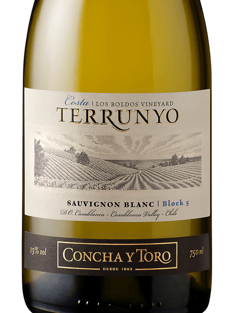 Terrunyo Sauvignon Blanc 2019