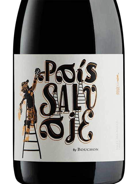 J. Bouchon Pais Salvaje 2020